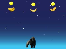 I am a gorilla 