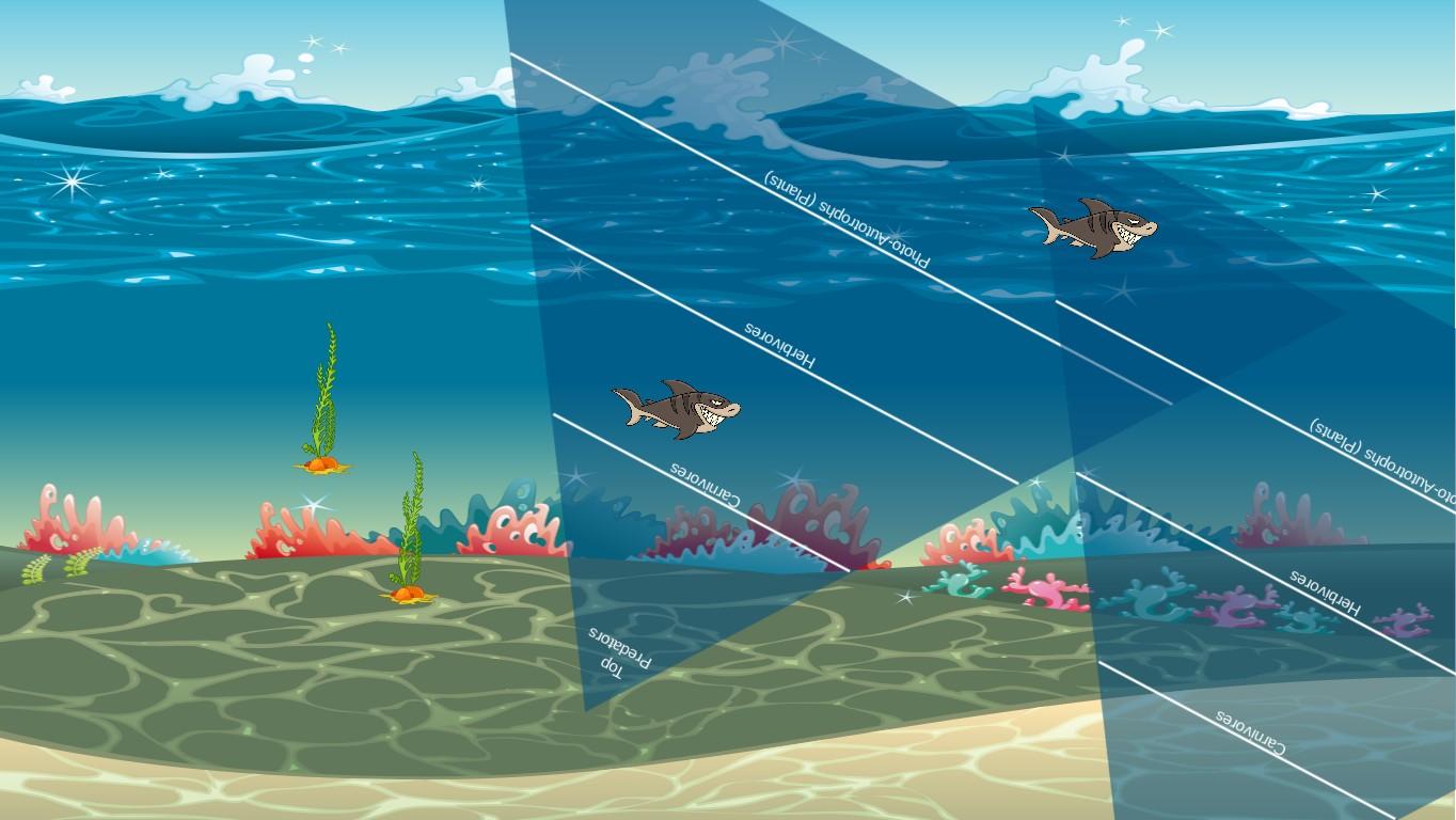 Ocean Ecological Pyramid