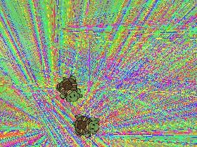 Turtle Trails 1