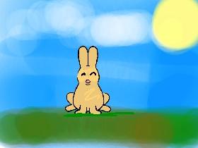 bunny animation
