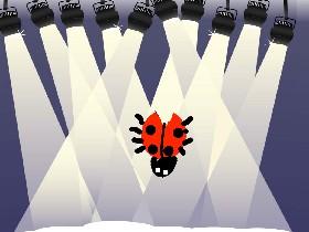 The lady bug.