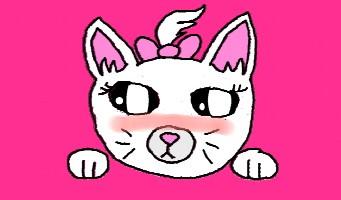 Cute kitty animation! 