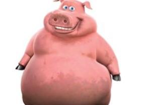 pig