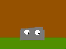 Make A pet rock 2