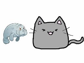 Learn To Draw 5