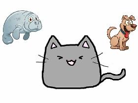 Learn To Draw 8