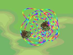 Turtle fun!