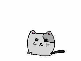 How to Draw a Cat