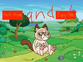 quiz about my cats