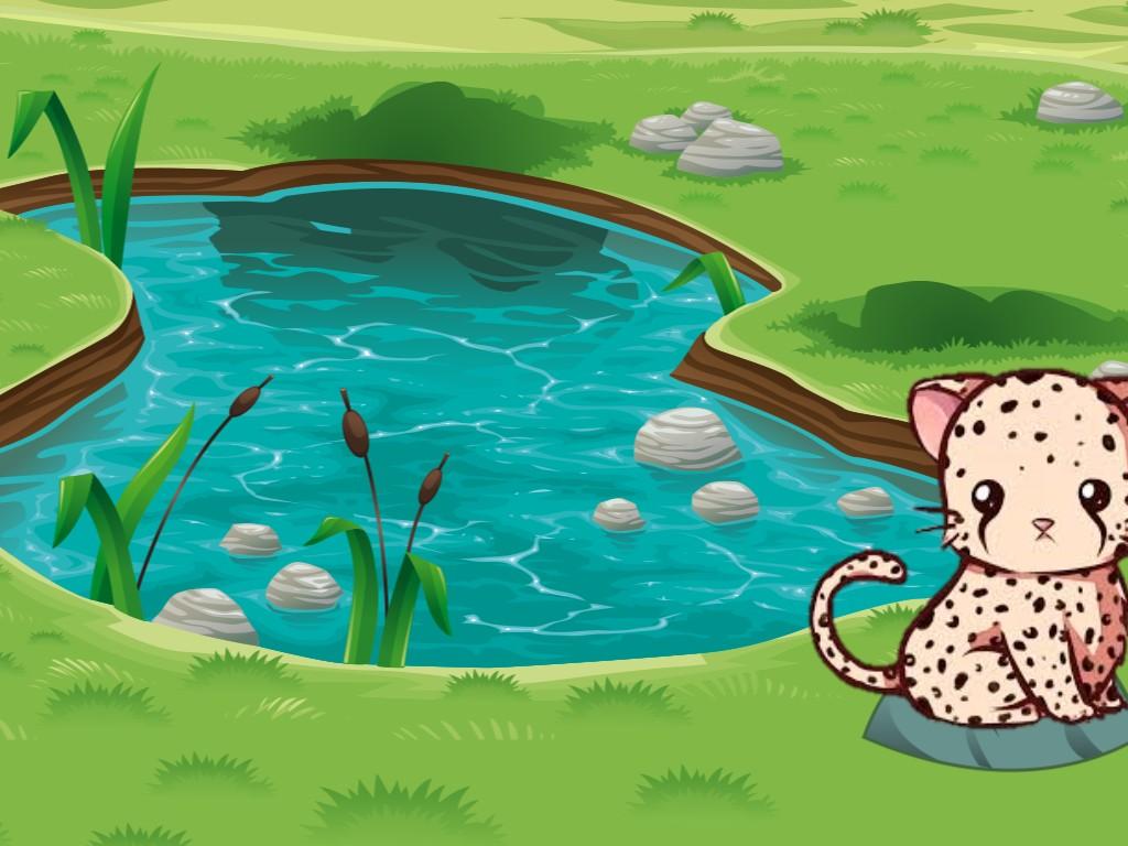 Spin Draw tiger project