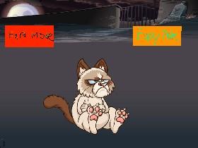 quiz about my cats - copy