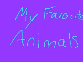 My Favorite Animals