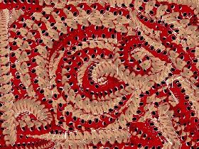 Do you know da wae 1