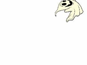 Spin Draw 1