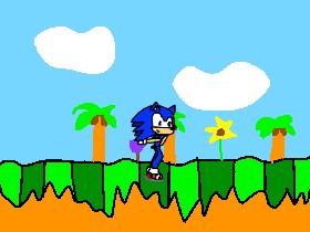 Sonic Animation