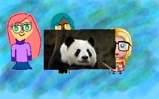 Anime Project Contest