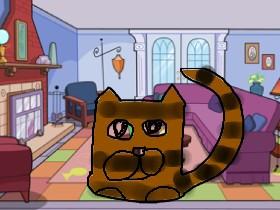 How to draw a tabby cat