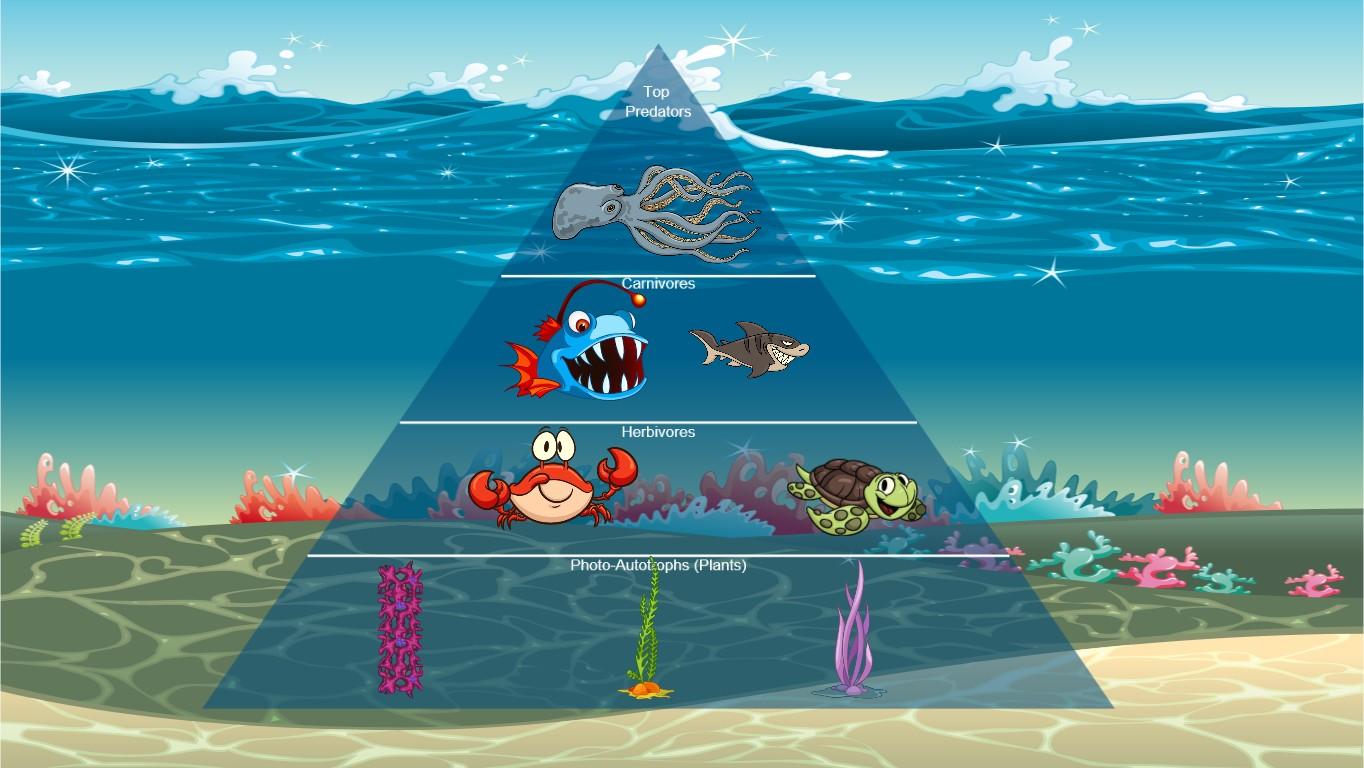 Ocean Ecological Pyramid