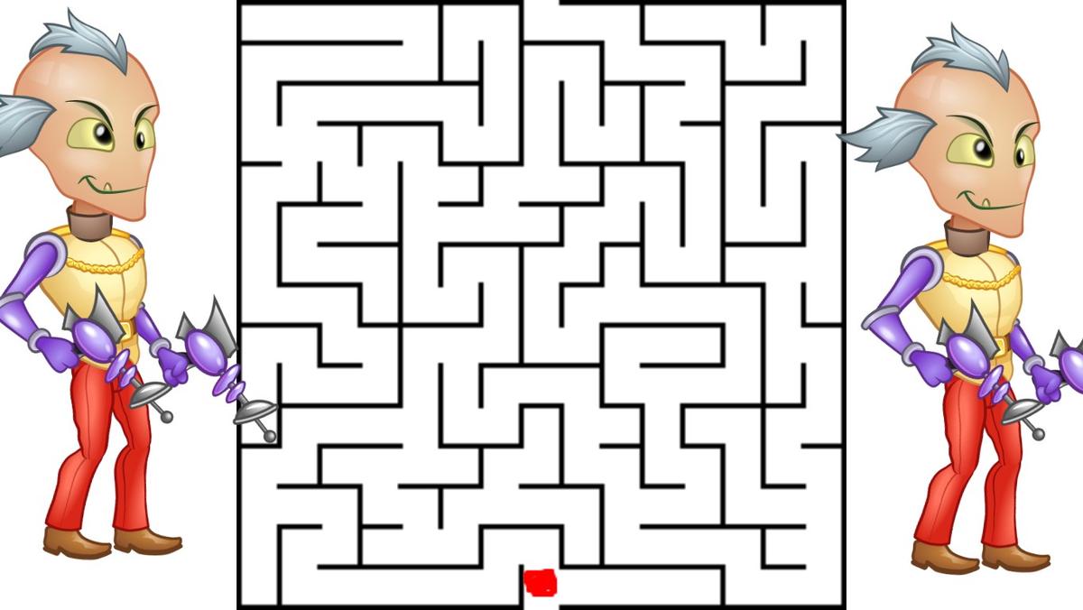 the MAZE