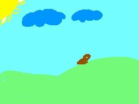 beautifull land scape