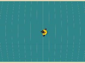 Bird Mayhem 1