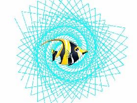 Spiral Triangles 1