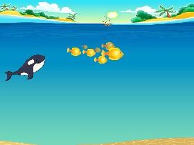 orca