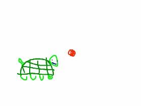 help the turtle