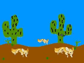 Fennec Foxes - copy - copy