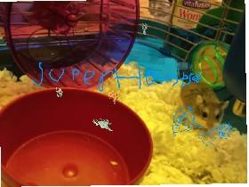 super hampster part 1