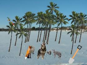 Biomes: Create ur own