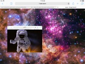 space picher