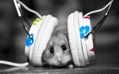 decorate hamster