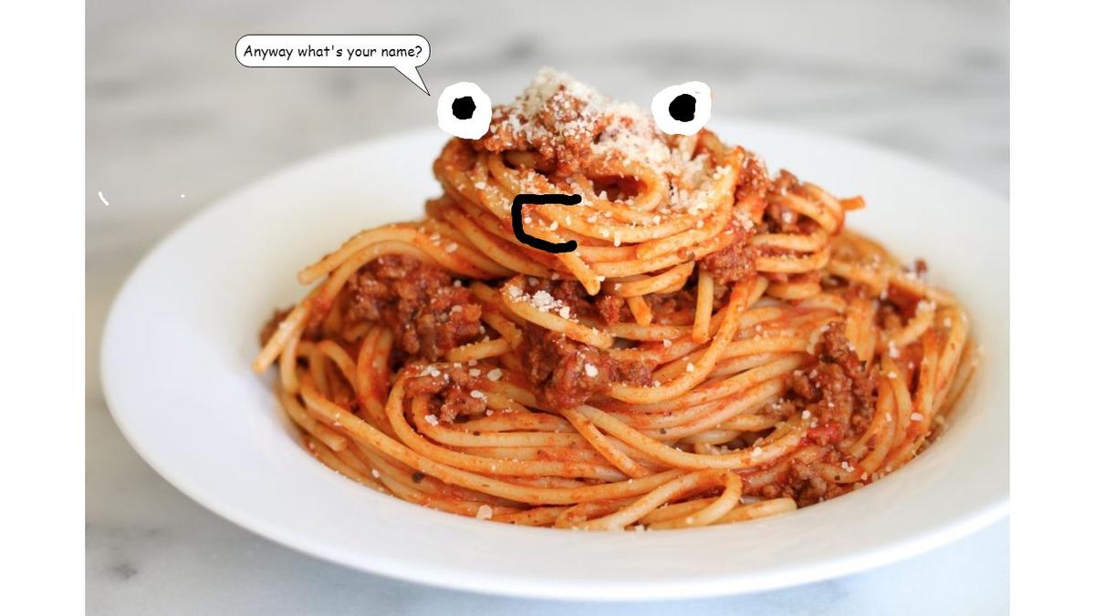 The life of Spaghetti