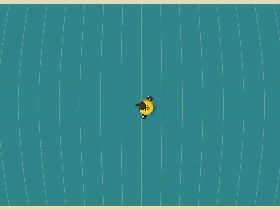 Bird Mayhem 1