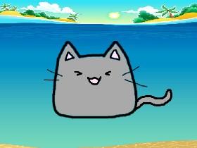 water cat