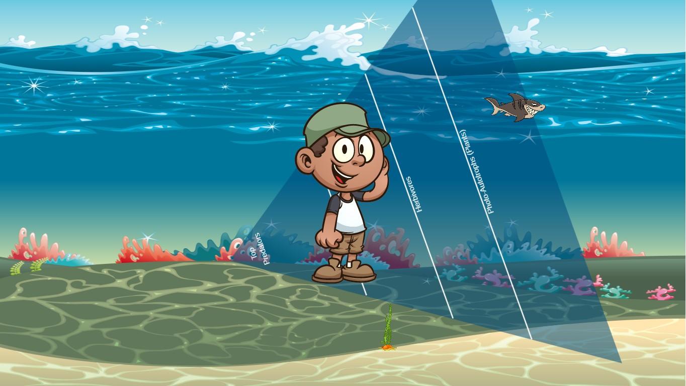 Ocean Ecological Pyramid