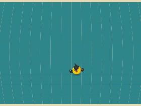 Bird Mayhem 1