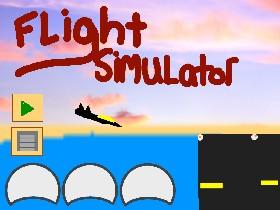 Flight Simulator