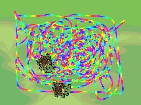 Turtle Trails 1