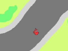 ROAD RUNNER RUN! 1