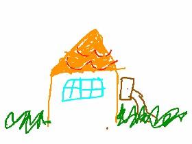 the house