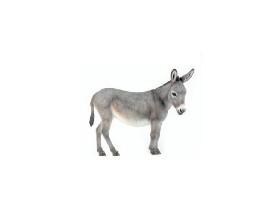 Donkey Clicker