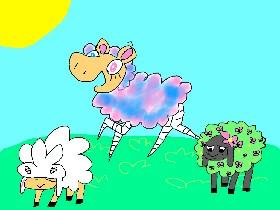sheep