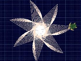Turtle,s Project