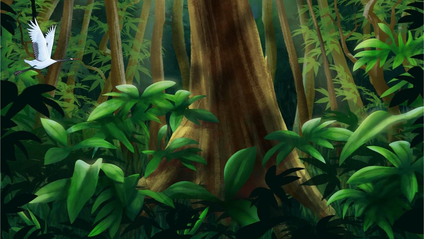 Animate the Everglades