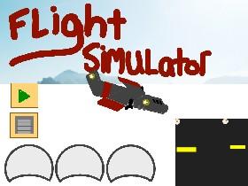 flight simulator