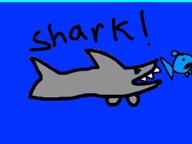 Shark! 1