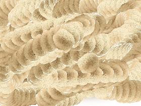 carrot spin draw - copy