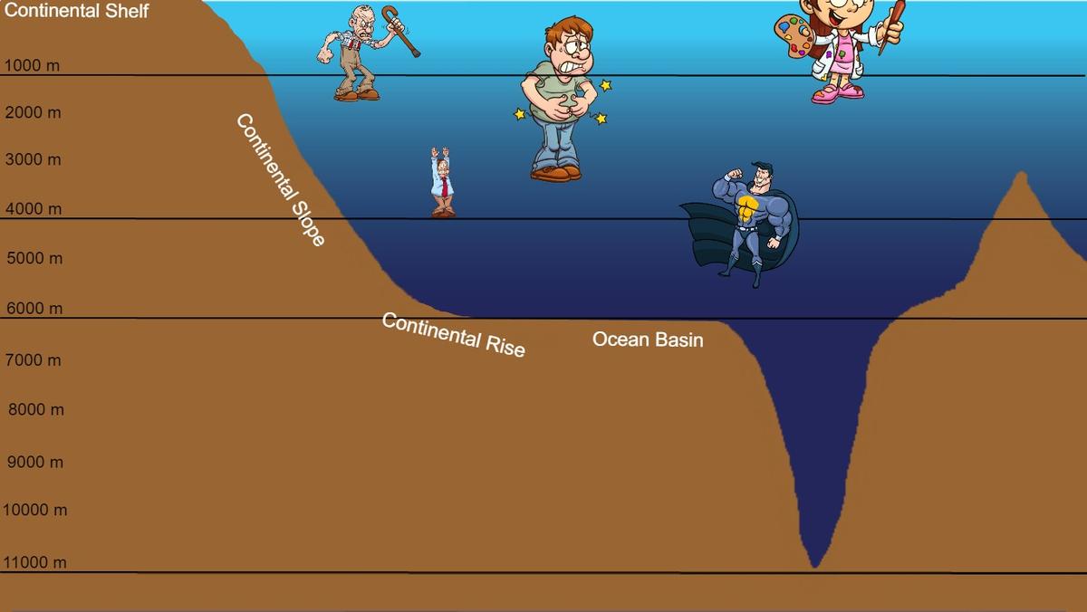 Layers of the Ocean - TEMPLATE